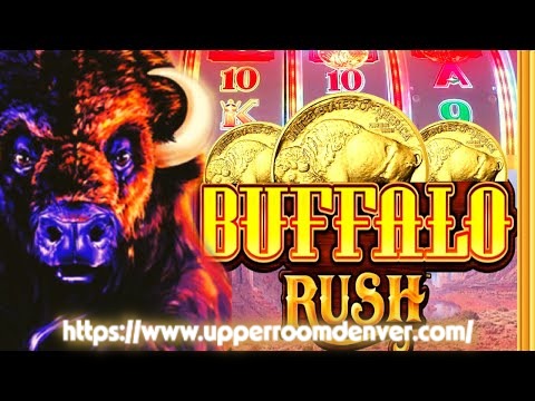 Read more about the article Buffalo Rush HIGHROLLER: Sensasi Slot Liar dengan Jackpot Melimpah